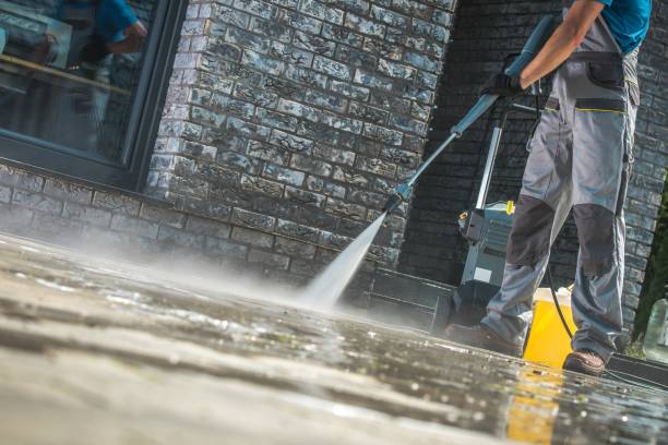 Best Animal Enclosure Cleaning  in Point Baker, FL