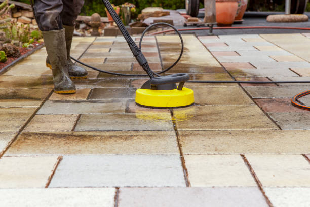 Best Animal Enclosure Cleaning  in Point Baker, FL